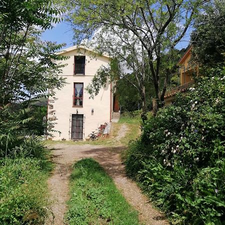 Ferula Romantica Mansarda Tra Fiumi E Montagne Sardegna Seùlo 외부 사진