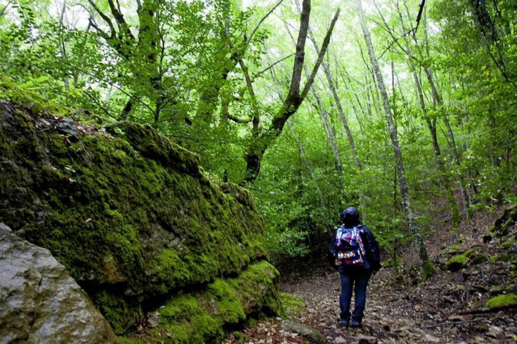 Ferula Romantica Mansarda Tra Fiumi E Montagne Sardegna Seùlo 외부 사진