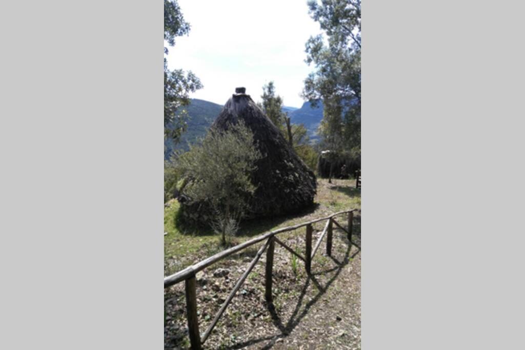 Ferula Romantica Mansarda Tra Fiumi E Montagne Sardegna Seùlo 외부 사진
