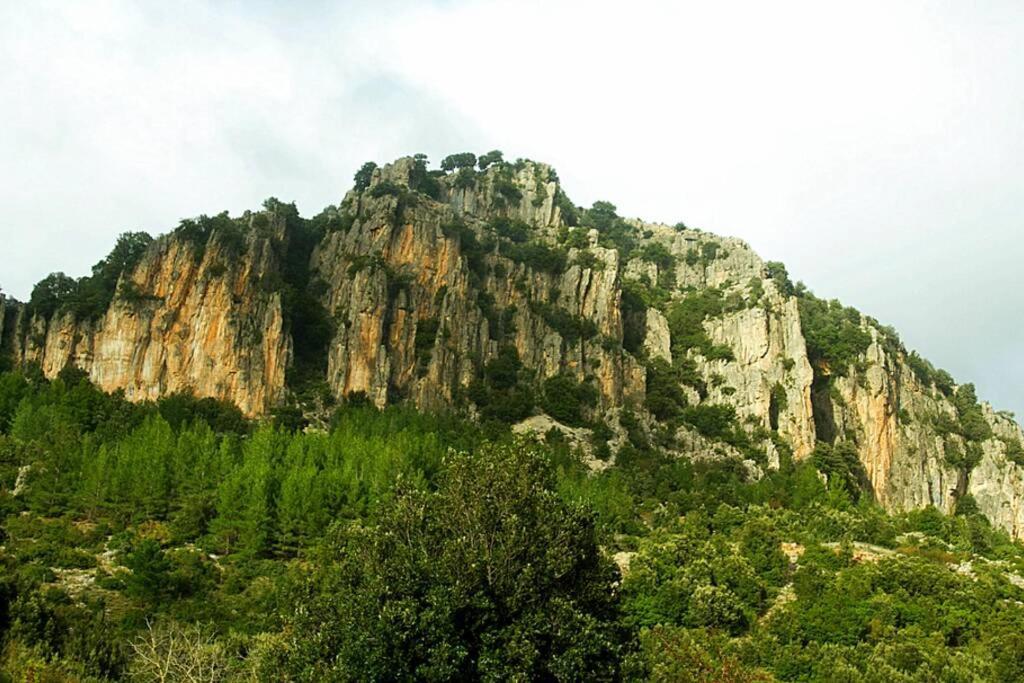 Ferula Romantica Mansarda Tra Fiumi E Montagne Sardegna Seùlo 외부 사진