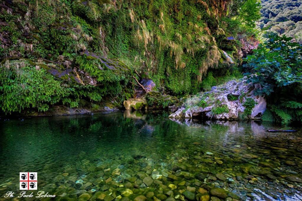 Ferula Romantica Mansarda Tra Fiumi E Montagne Sardegna Seùlo 외부 사진