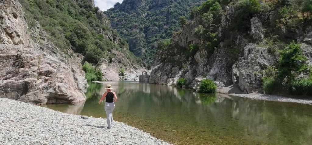 Ferula Romantica Mansarda Tra Fiumi E Montagne Sardegna Seùlo 외부 사진
